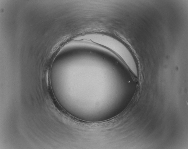 X0000053110019200508012136