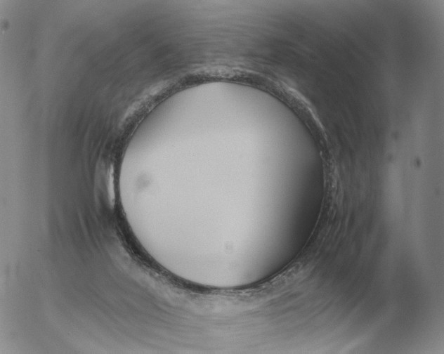 X0000053110020200508012136