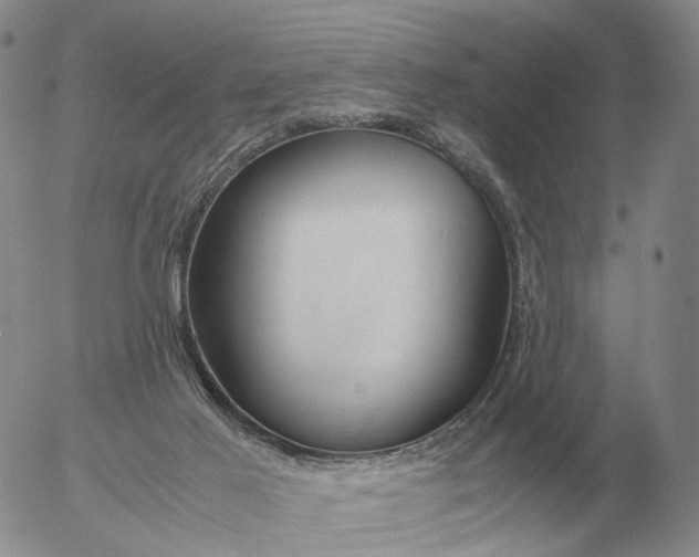 X0000053110021200508012136