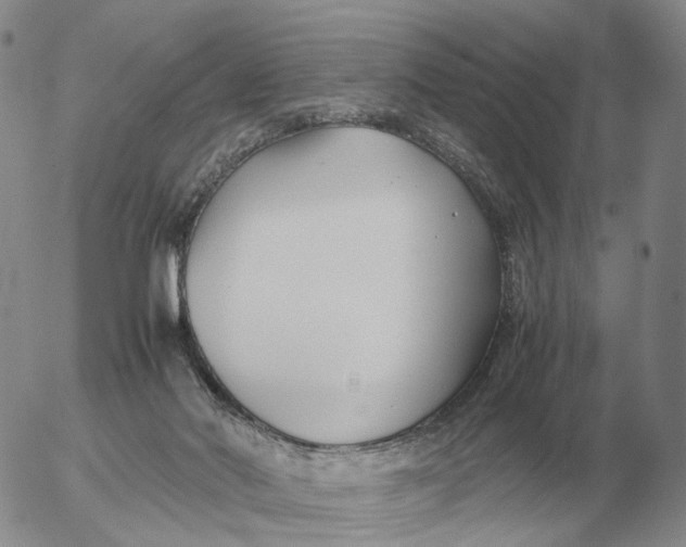 X0000053110022200508012136