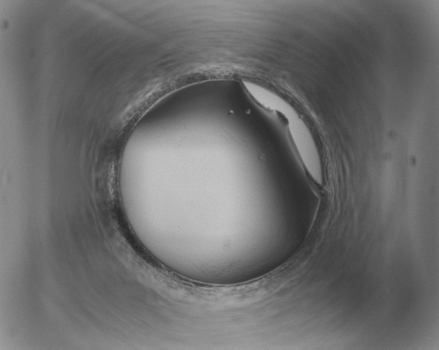 X0000053110023200508012136