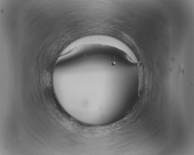 X0000053110025200508012136