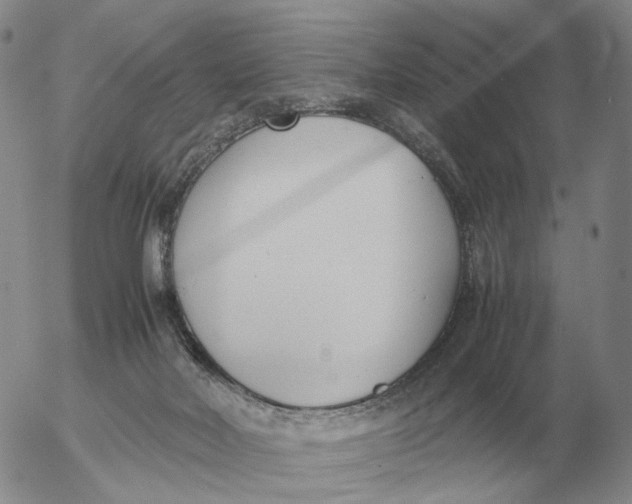 X0000053110026200508012136