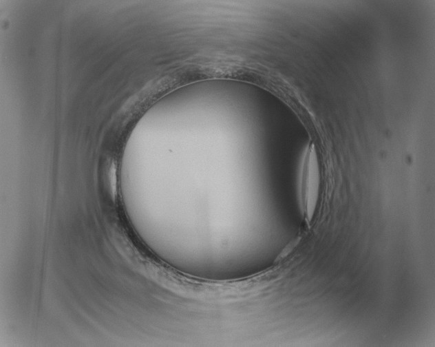 X0000053110027200508012136