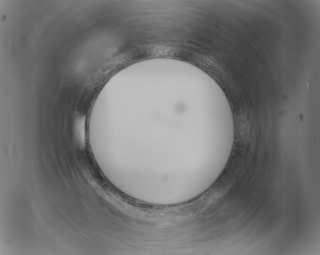 X0000053110028200508012136