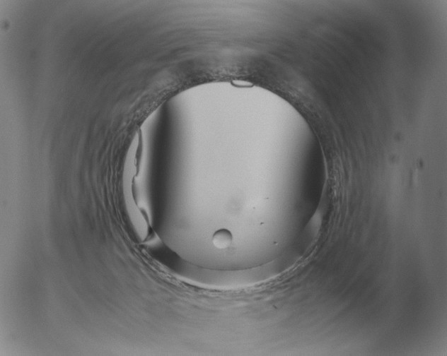 X0000053110029200508012136