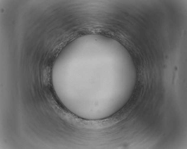 X0000053110030200508012136