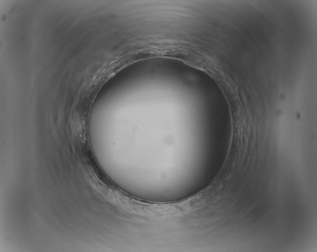 X0000053110031200508012136