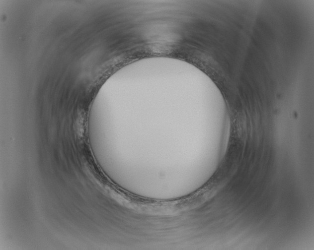 X0000053110032200508012136