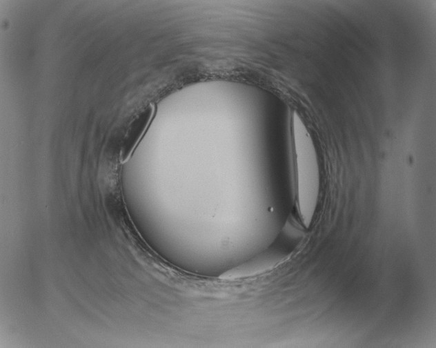 X0000053110033200508012136