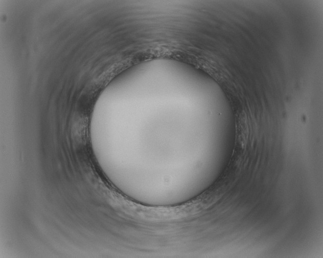 X0000053110034200508012136