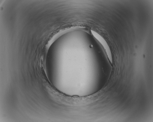 X0000053110037200508012136