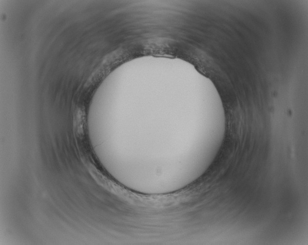 X0000053110038200508012136