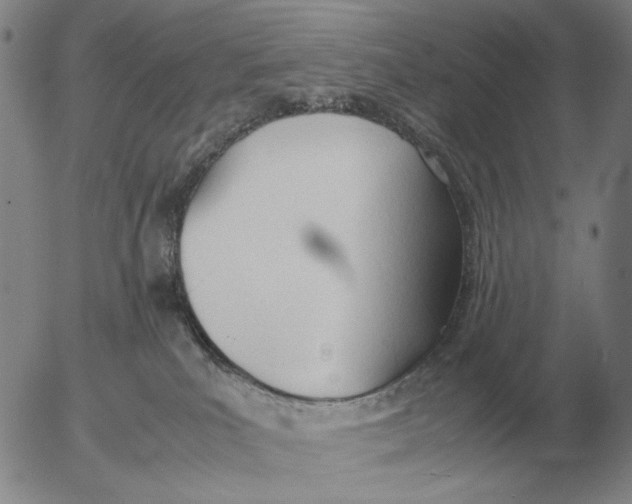 X0000053110039200508012136