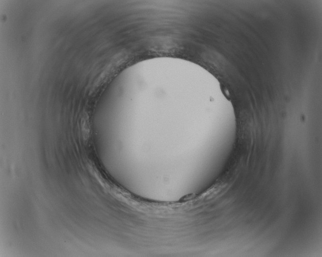 X0000053110040200508012136