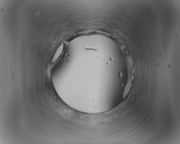 X0000053110041200508012136