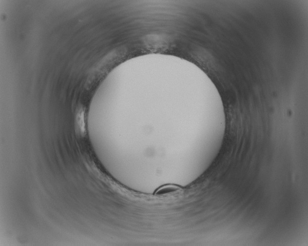 X0000053110042200508012136