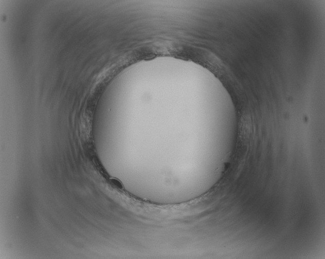 X0000053110043200508012136