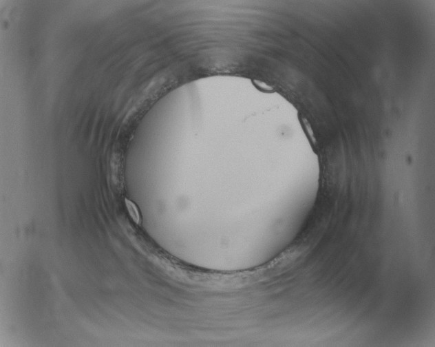 X0000053110044200508012136