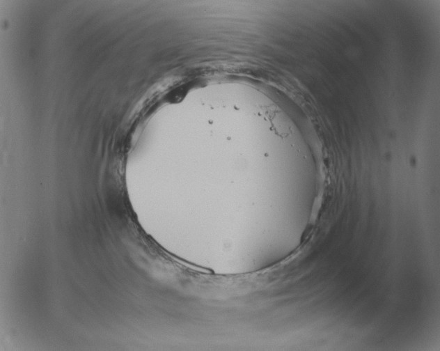 X0000053110045200508012136