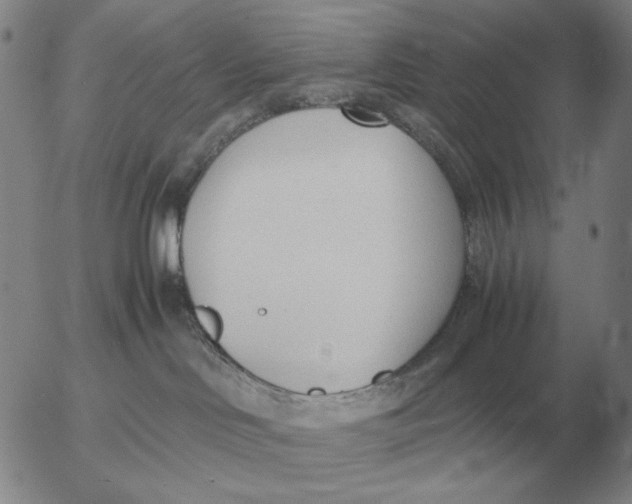 X0000053110046200508012136