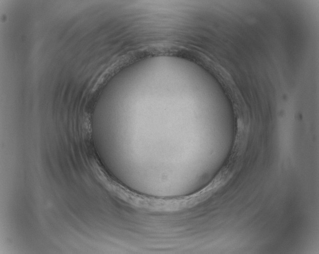 X0000053110048200508012136