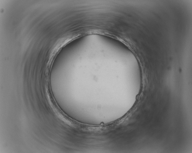 X0000053110049200508012135