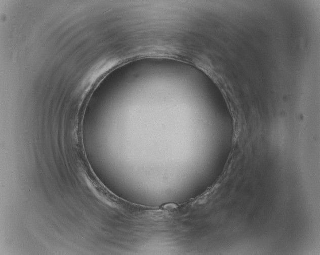 X0000053110050200508012135