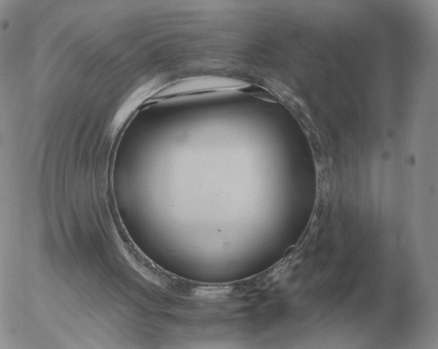 X0000053110051200508012135