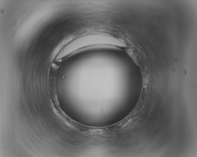 X0000053110052200508012135