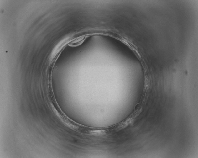 X0000053110053200508012135