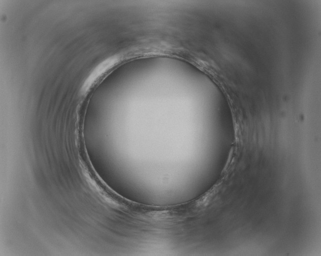 X0000053110054200508012135