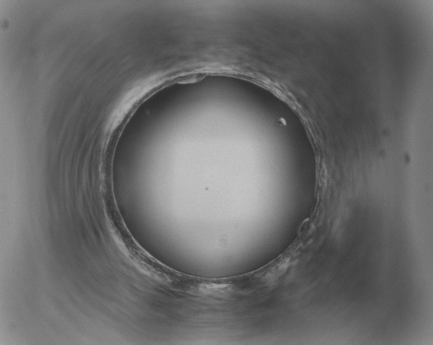 X0000053110055200508012135