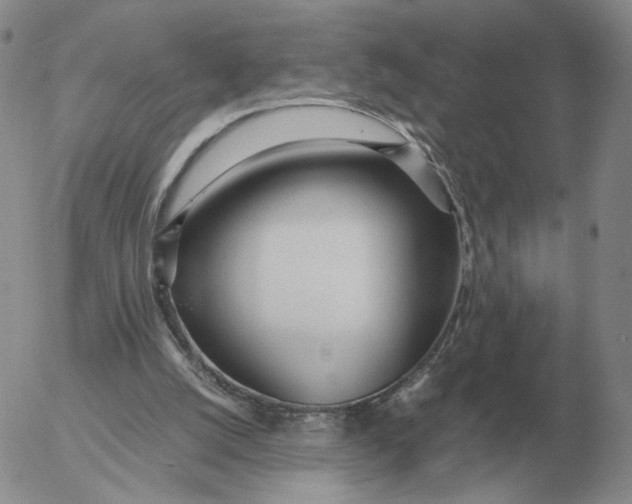 X0000053110056200508012135