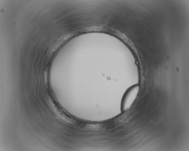 X0000053110057200508012135