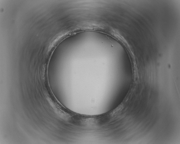 X0000053110058200508012135