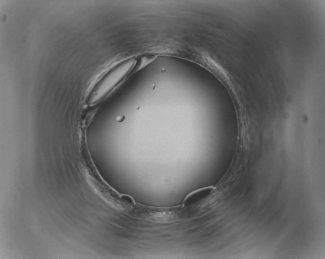 X0000053110059200508012135