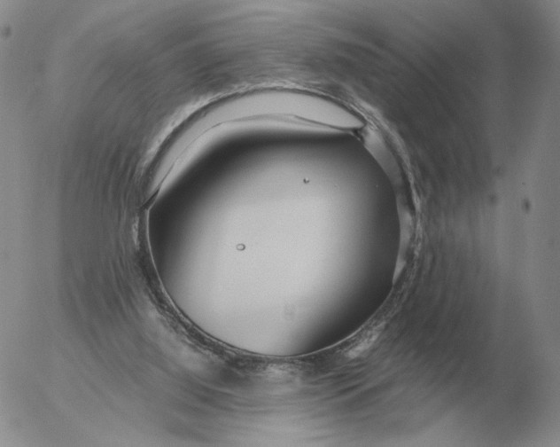 X0000053110060200508012135