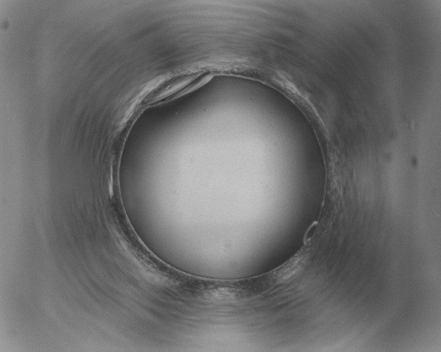 X0000053110062200508012135