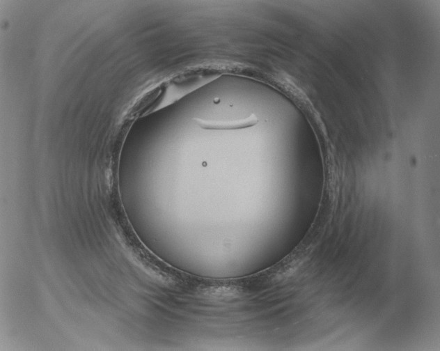 X0000053110063200508012135