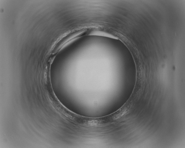 X0000053110064200508012135