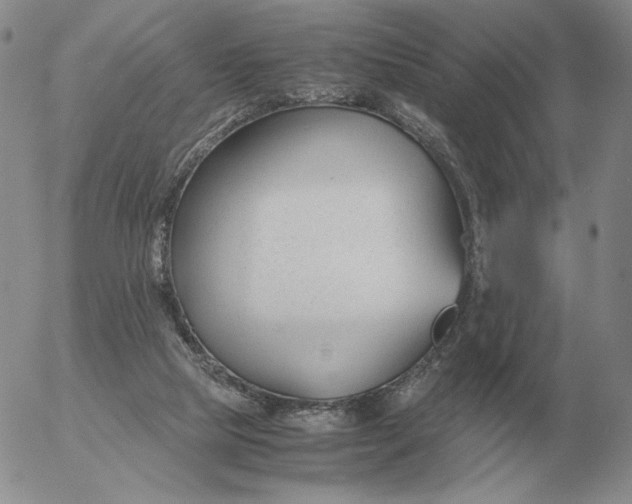 X0000053110065200508012135