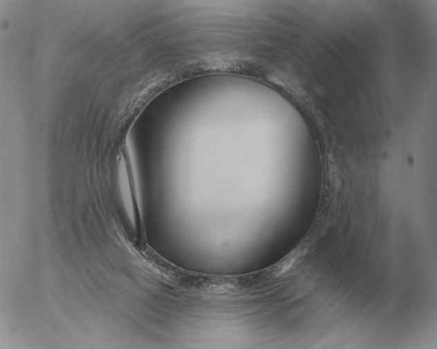 X0000053110066200508012135