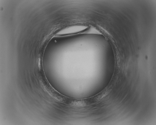 X0000053110067200508012135