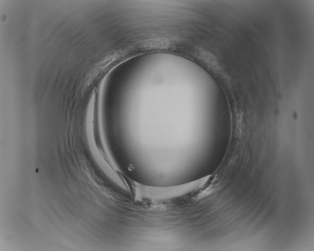 X0000053110068200508012135