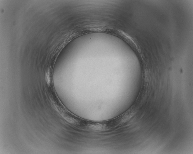 X0000053110069200508012136