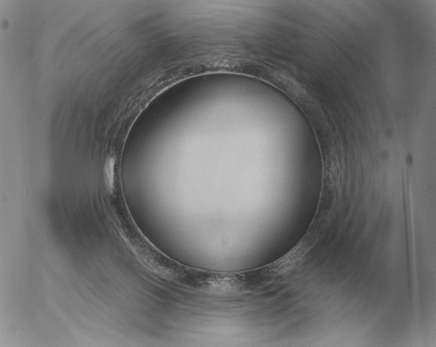 X0000053110070200508012136