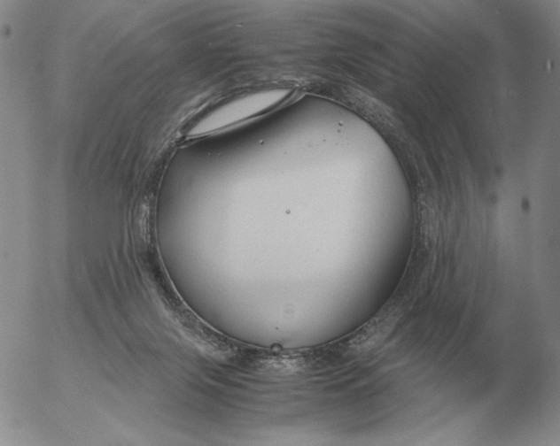 X0000053110071200508012136