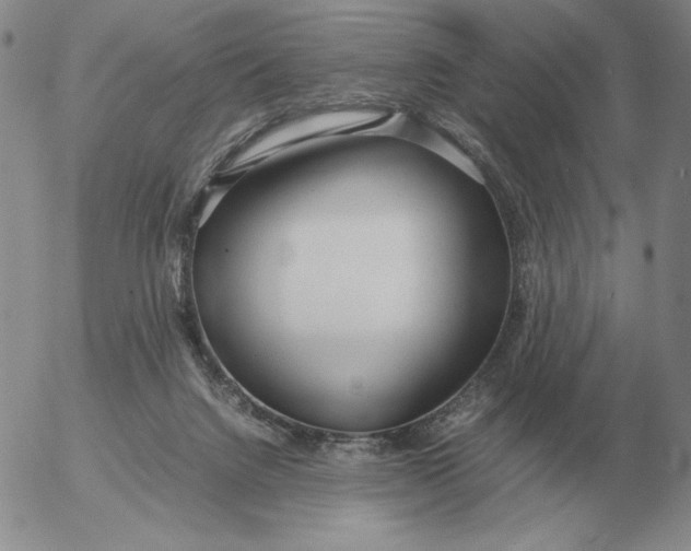 X0000053110072200508012136