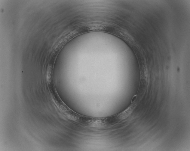 X0000053110074200508012136